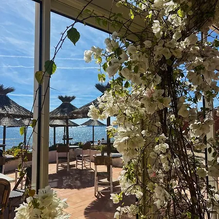 La Potiniere Hyères