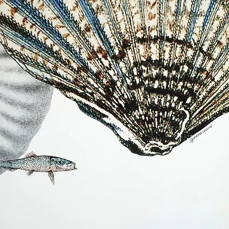 La Potiniere 3* Йер