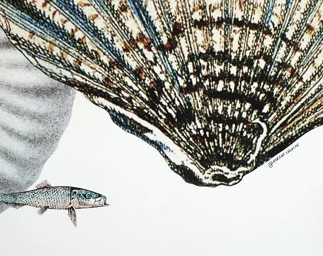 La Potiniere 3* Hyères